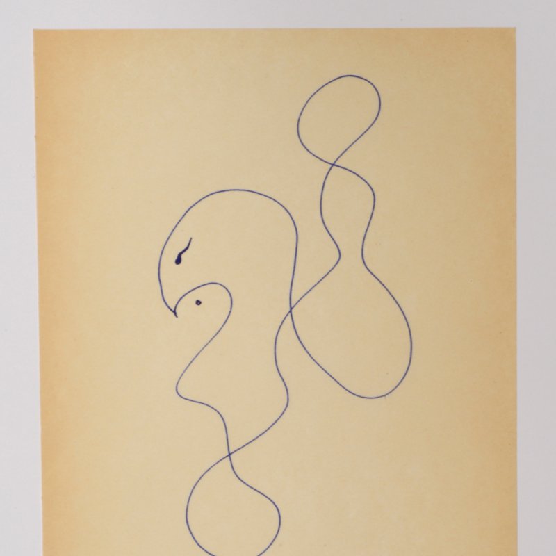 Figure n.9,Donato Di Zio a cura di Gillo Dorfles,Rita Levi-Montalcini,Matteo Renzi