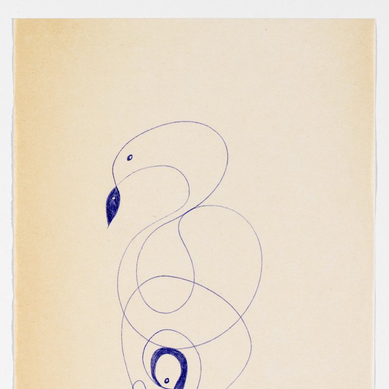 Uccello con pesce,Donato Di Zio a cura di Gillo Dorfles,Rita Levi-Montalcini,Biblioteca Marucelliana,Firenze,Matteo Renzi,Edizione Gabriele Mazzotta,Martina Mazzotta Lanza,Matteo Galbiati